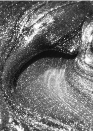 Tinseltown Collection