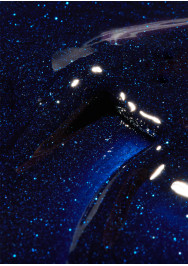 Tinseltown Collection