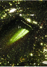 Tinseltown Collection