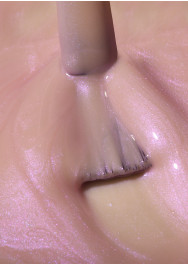 The Energy Collection