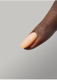 The Energy Collection