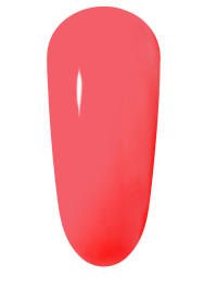 Watermelon Gelly