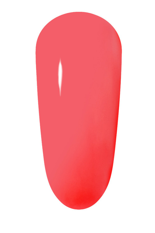 Watermelon Gelly