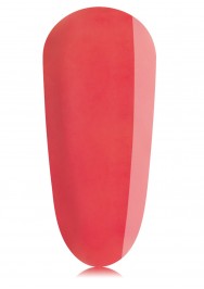 Passionate BIAB™ Disc