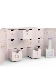 12 Days of BIAB™