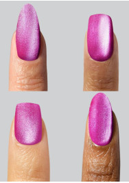 The Heist Collection