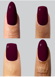 The Heist Collection Mini