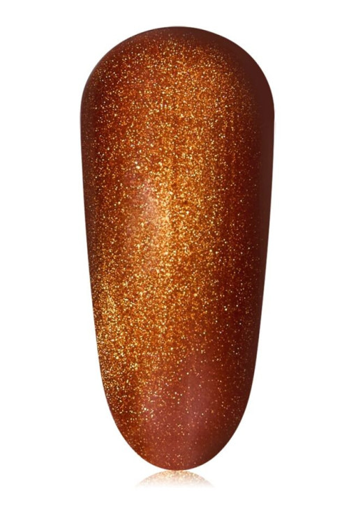 Fortune Magnetic Mini