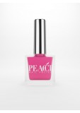 Barbie Peacci Polish